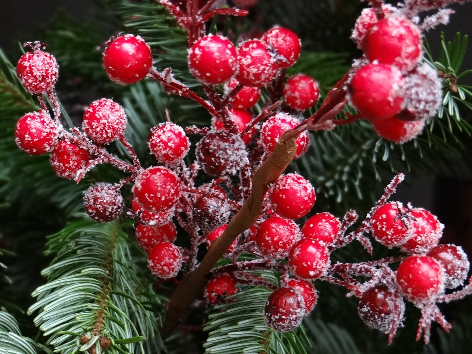 Traditionally fir tree christmas bouquet