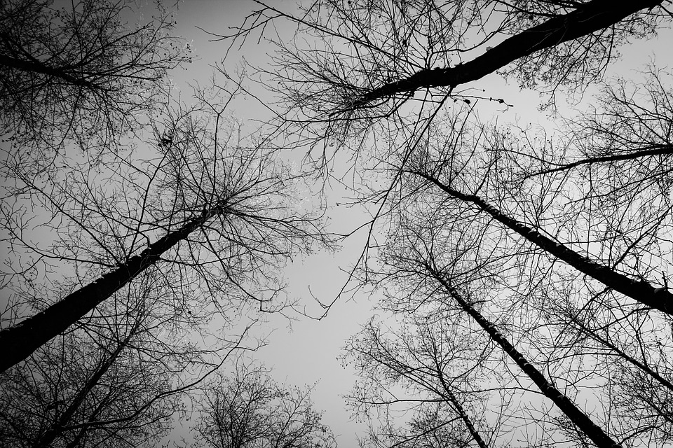 Snow nature sky