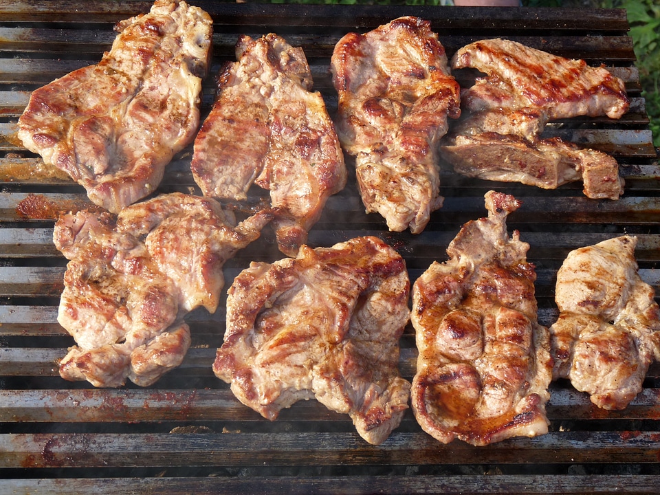 Food barbecue grilled