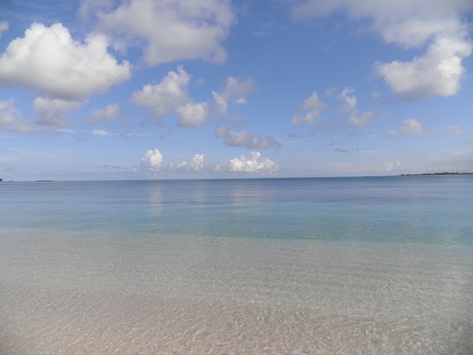 Beach bahamas tropical