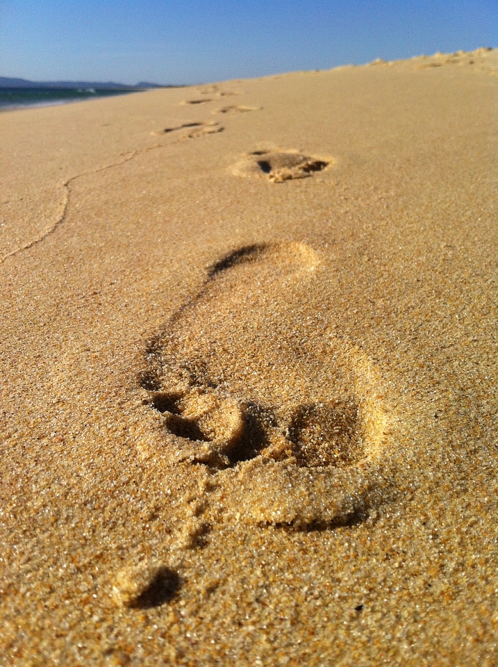 Beach nature light