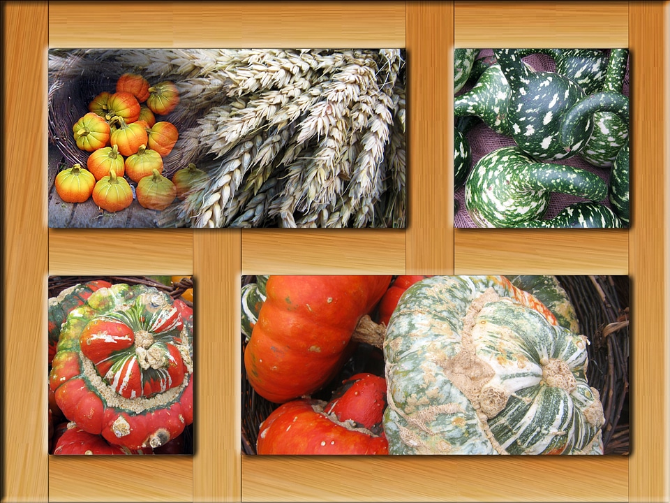 Decoration colorful october