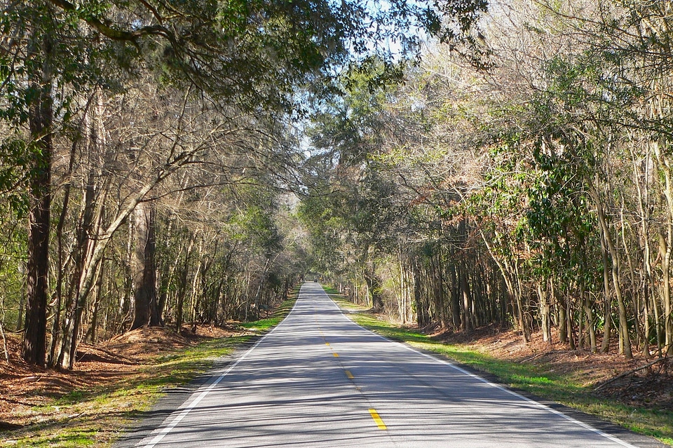 Nature outside road