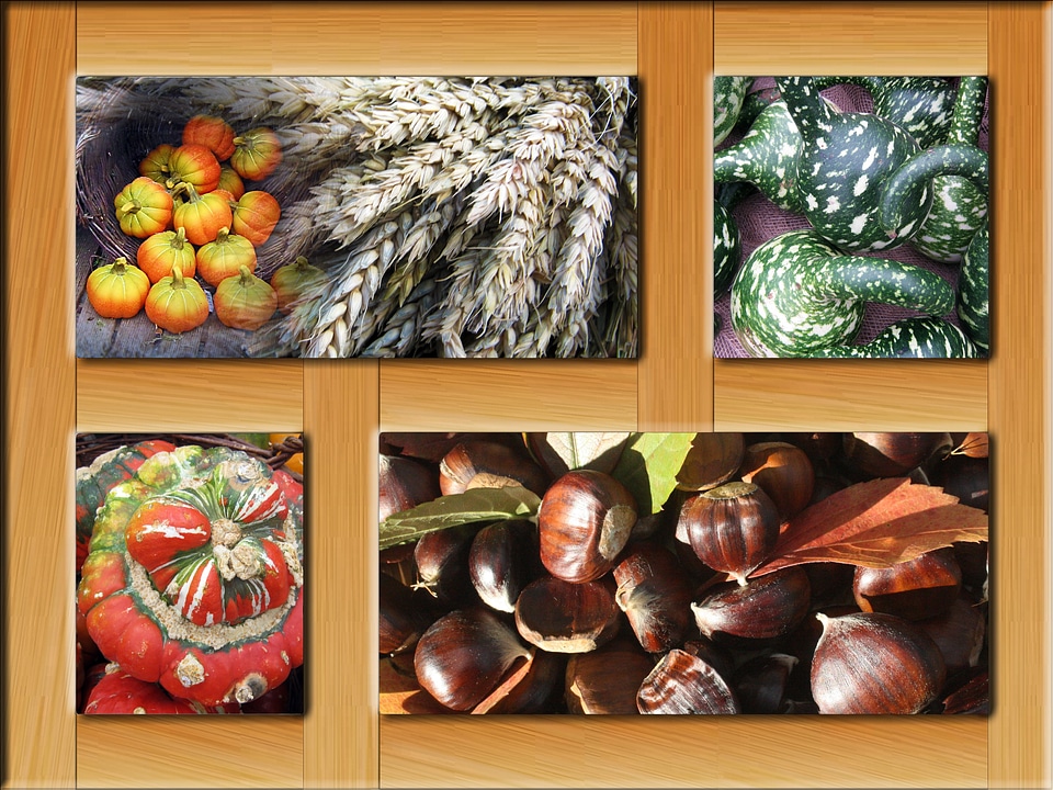 Decoration colorful october