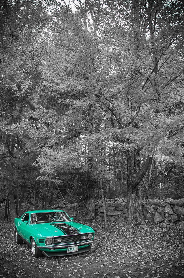 Car automobile vehicle