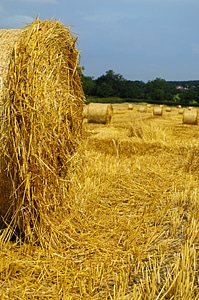 Background bale barley photo