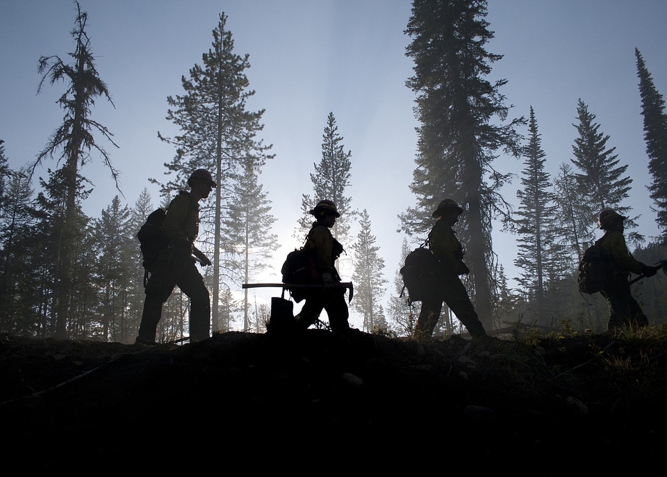 Silhouette silhouettes service