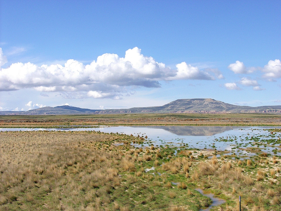 Scenic mountains stream