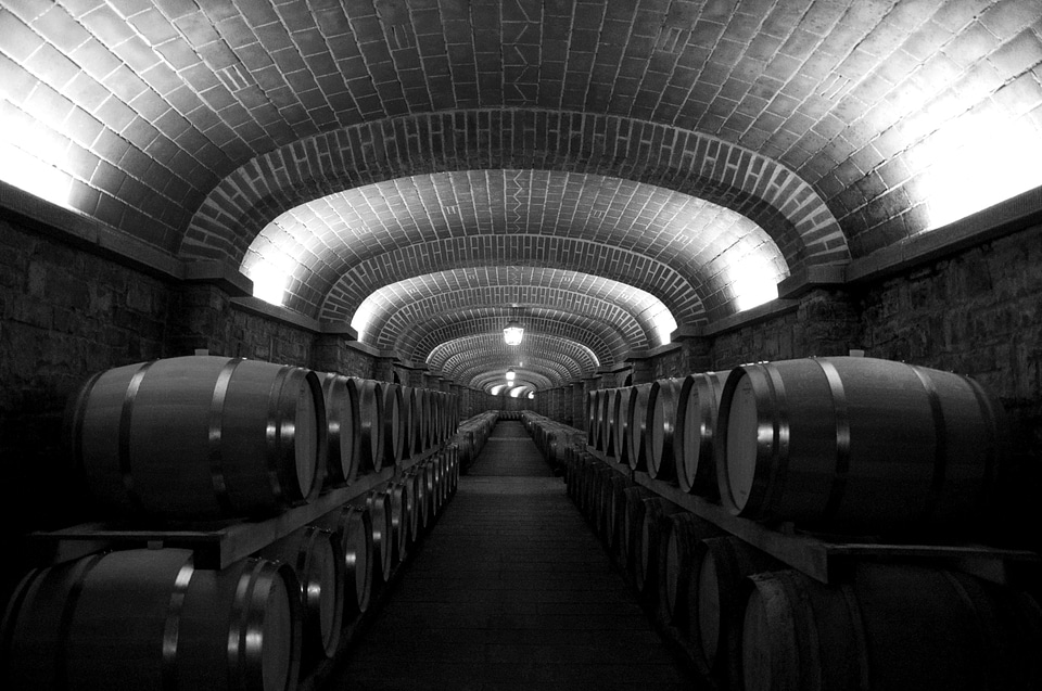 Cellar wine black and white