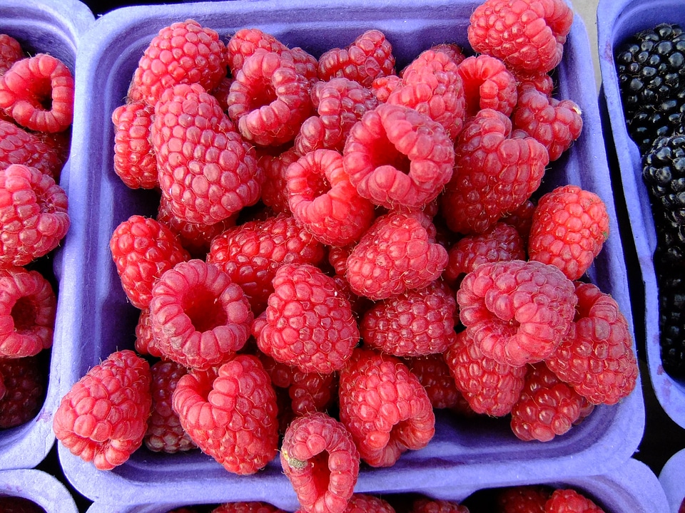 Fresh sweet berry