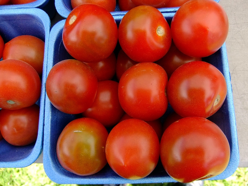 Healthy fresh organic