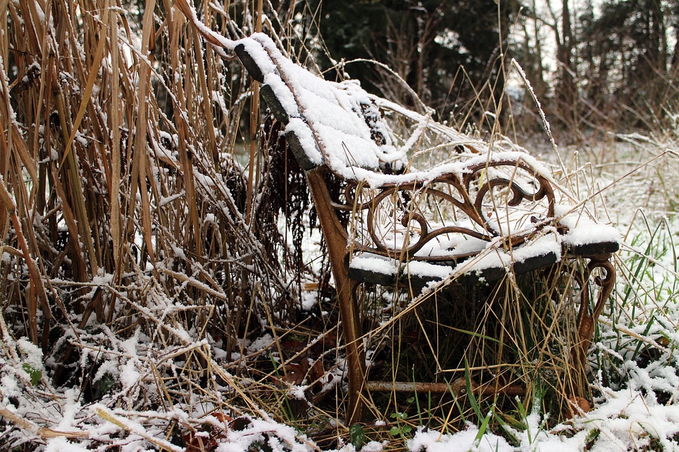 Winter wild dilapidated
