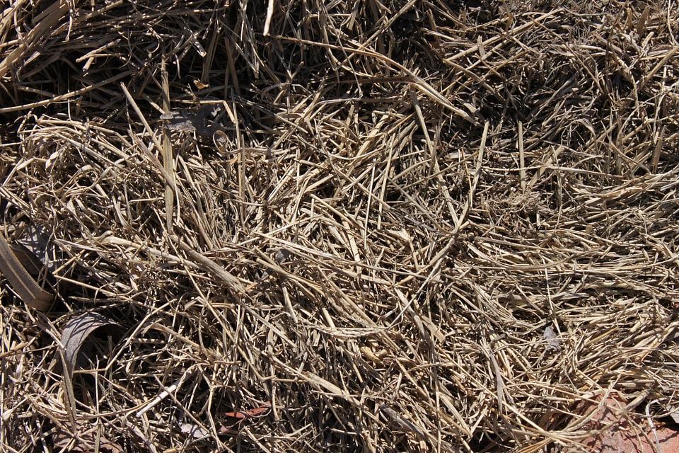 Farm field rural