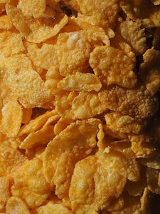 Breakfast food hunger