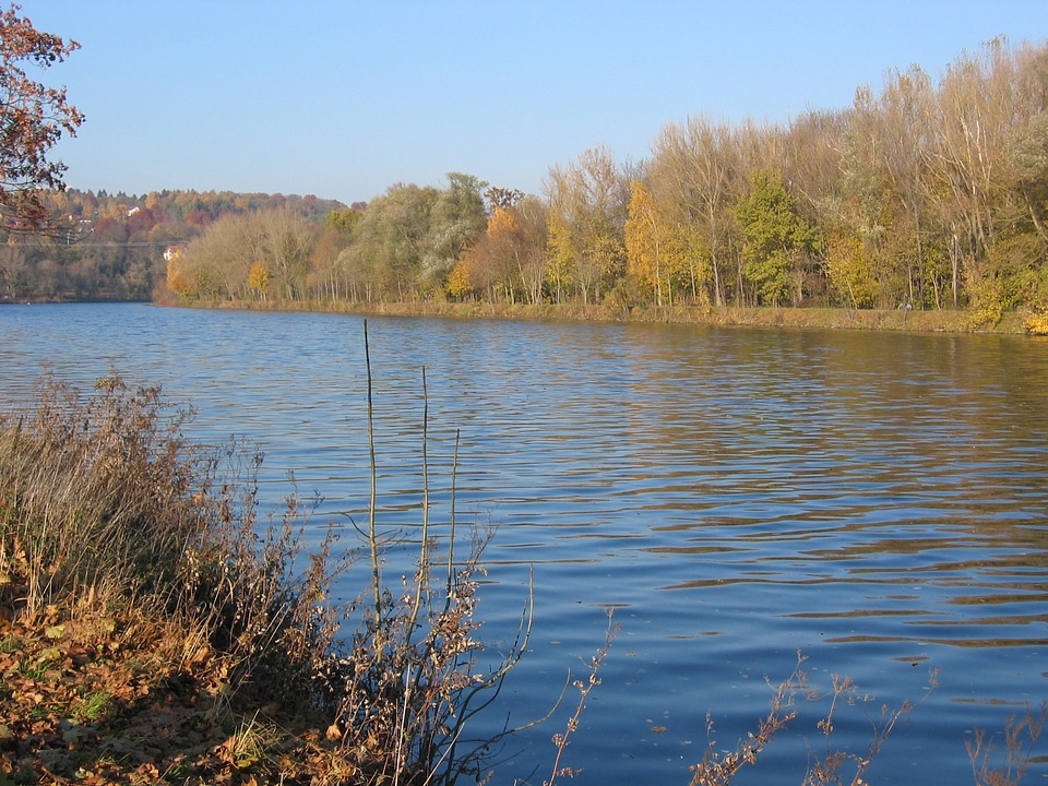 Autumn bank landscape