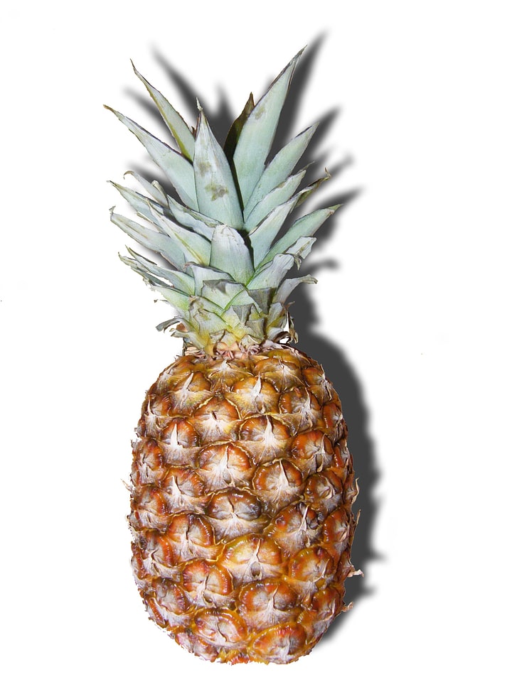 Fruits tropical isolated