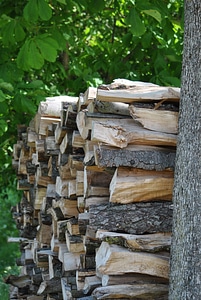 Combs thread cutting log sawed off