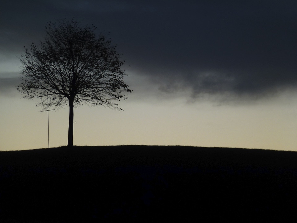 Landscape fog evening