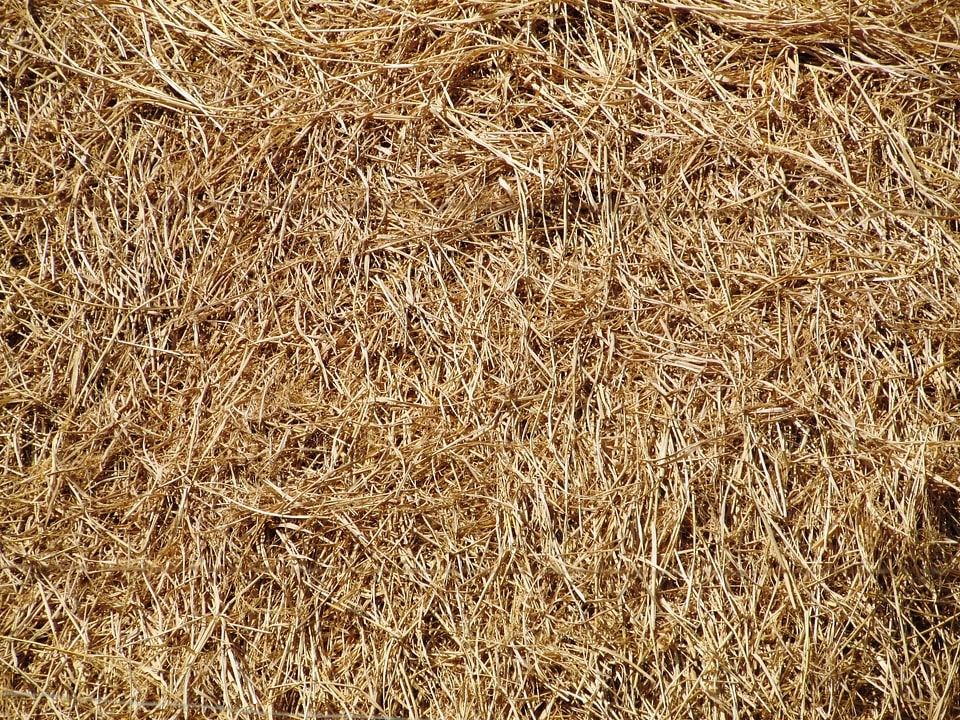 Farm texture textured