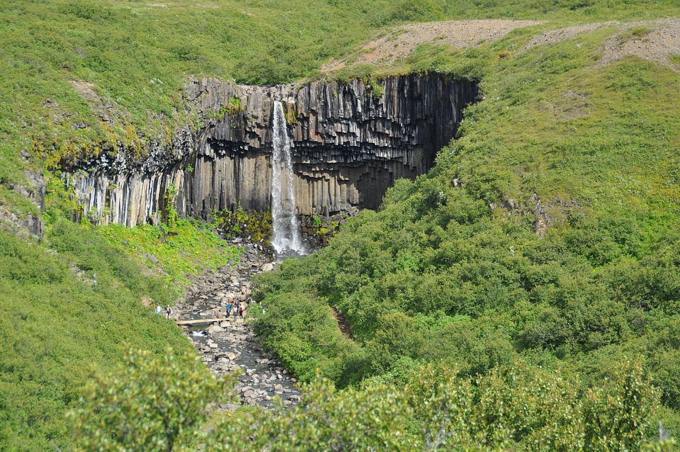 Svartifoss nature landscape