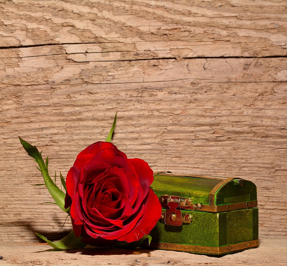 Blossom bloom treasure chest