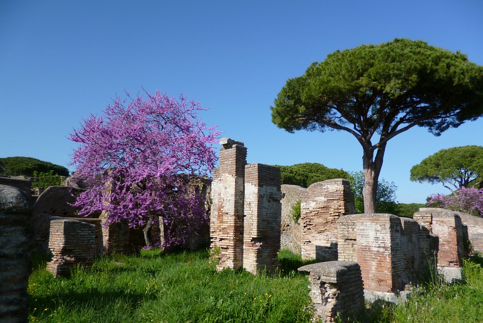 History ancient times roman