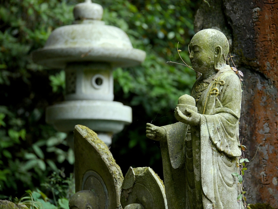 Woods buddha training