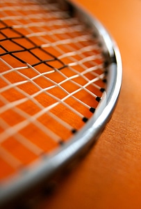 Web leisure fitness