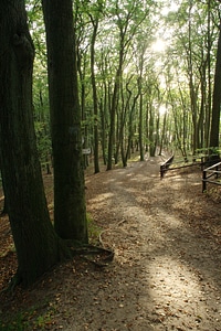 Wolin poland międzyzdroje