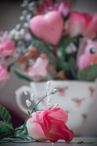 Love floral romantic photo
