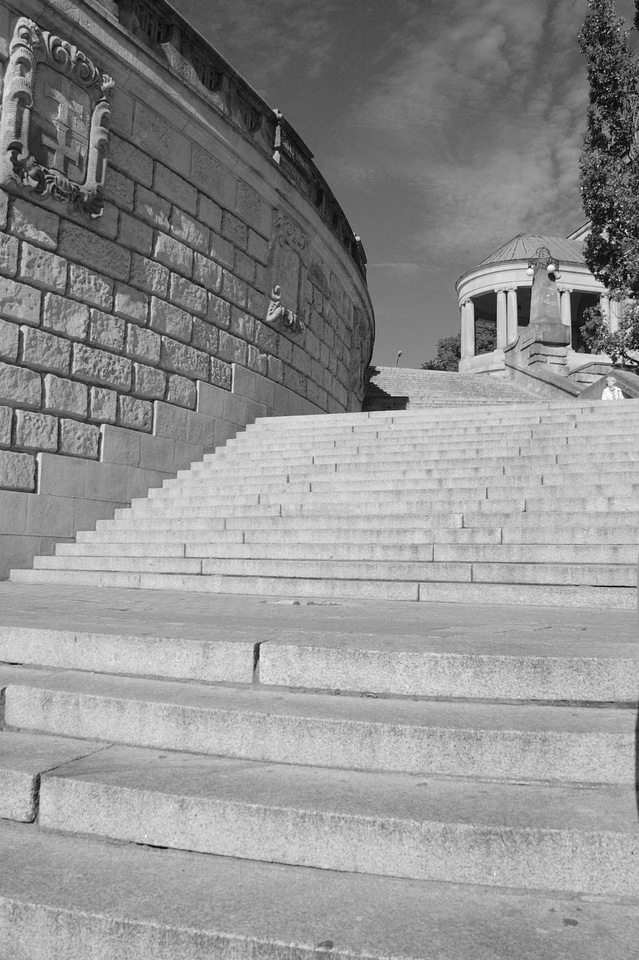 Pomeranian stairs black and white