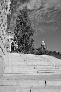 Pomeranian stairs black and white photo