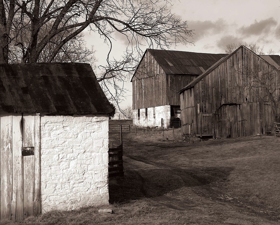 Black and white barn buildings