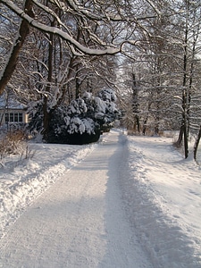 Winter snowy wintry photo