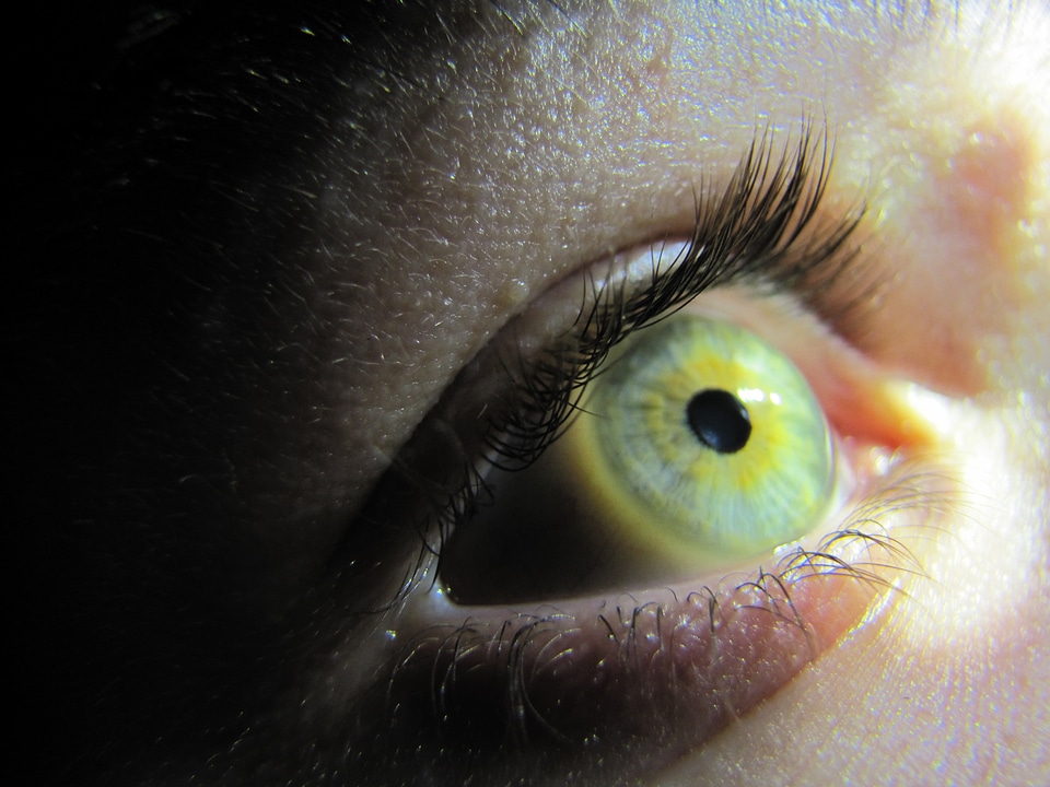 Watch eyelash macro