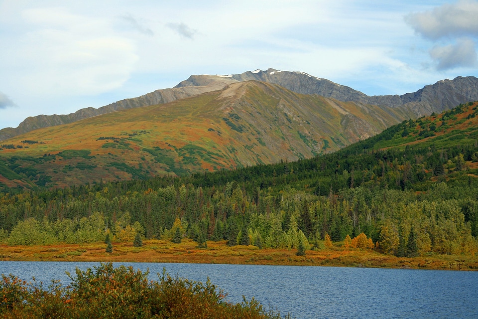 Mountain peak forest rural photo