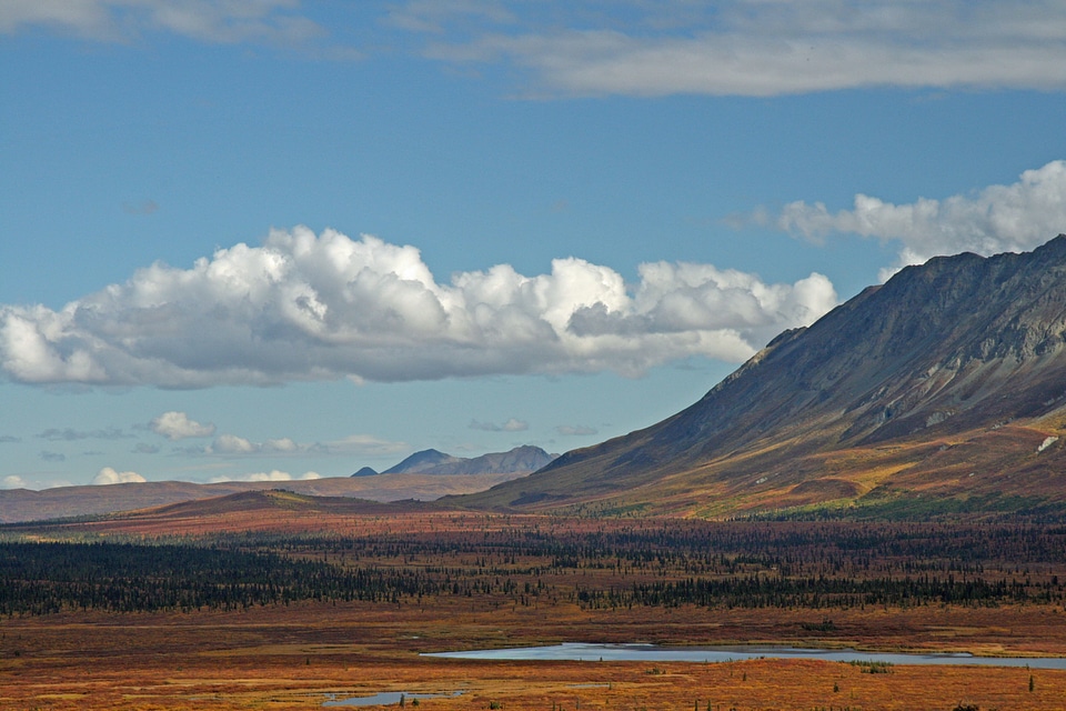 Mountains pond nature