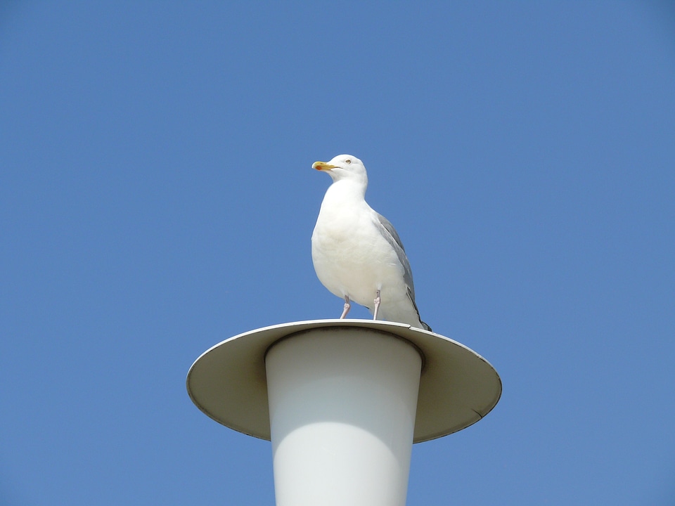 Sky blue norderney