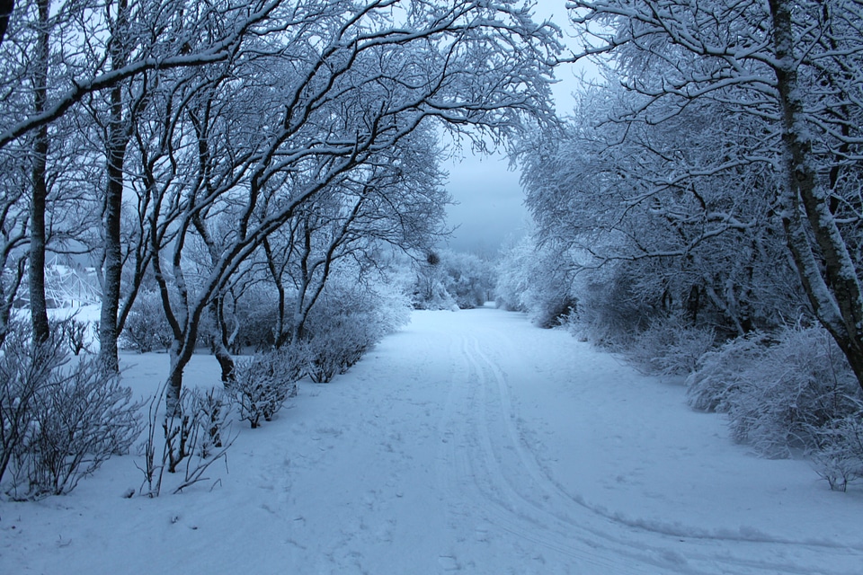 Winter white blue