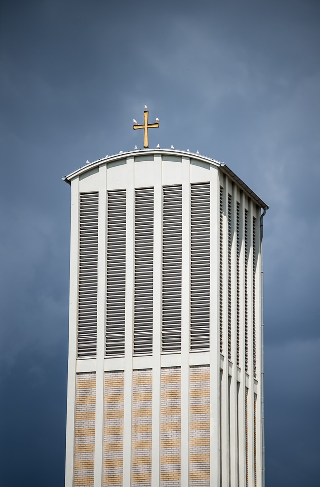 Pigeons cross building