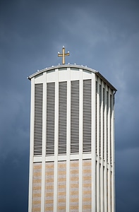 Pigeons cross building
