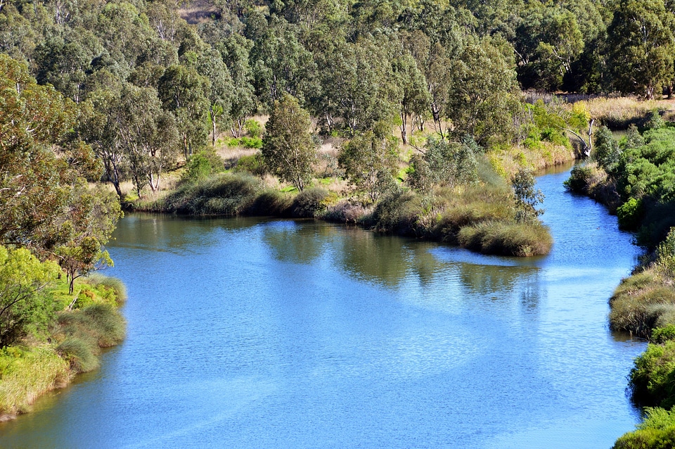 Bush landscape wilderness