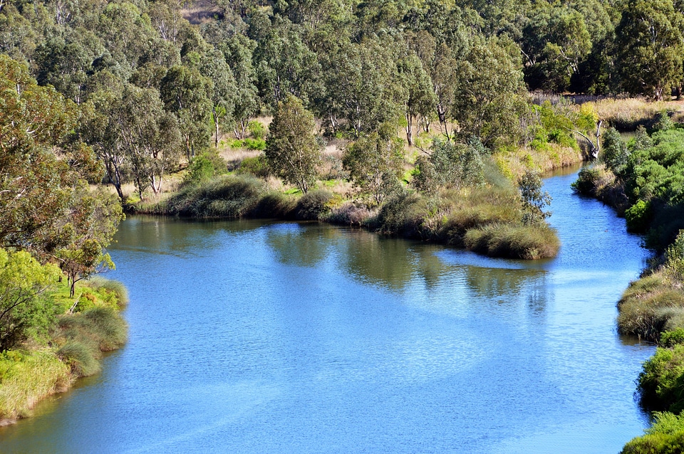 Bush landscape wilderness photo