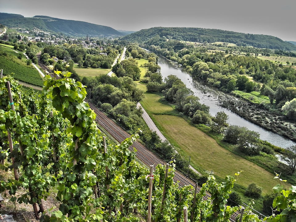 River water vineyards