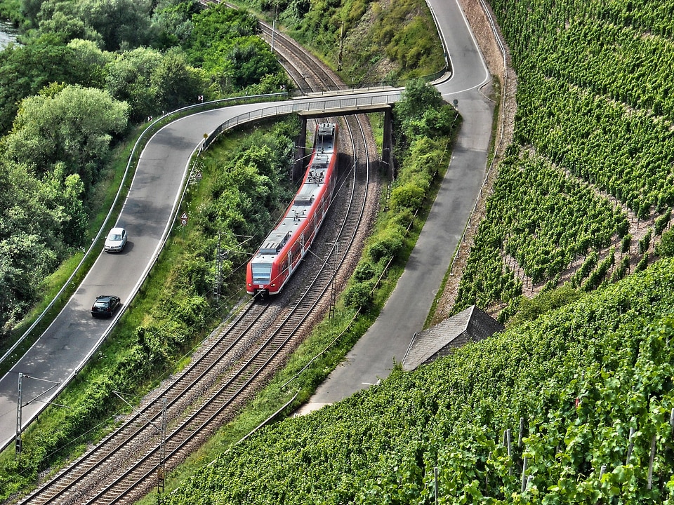 Vineyard saar nature