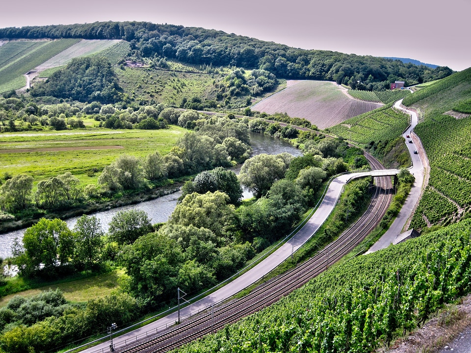 River landscape vineyard