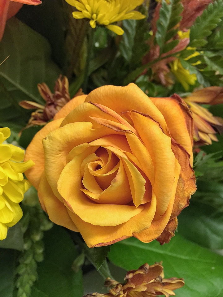 Flower love yellow