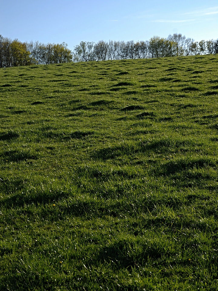Green sunset horizon