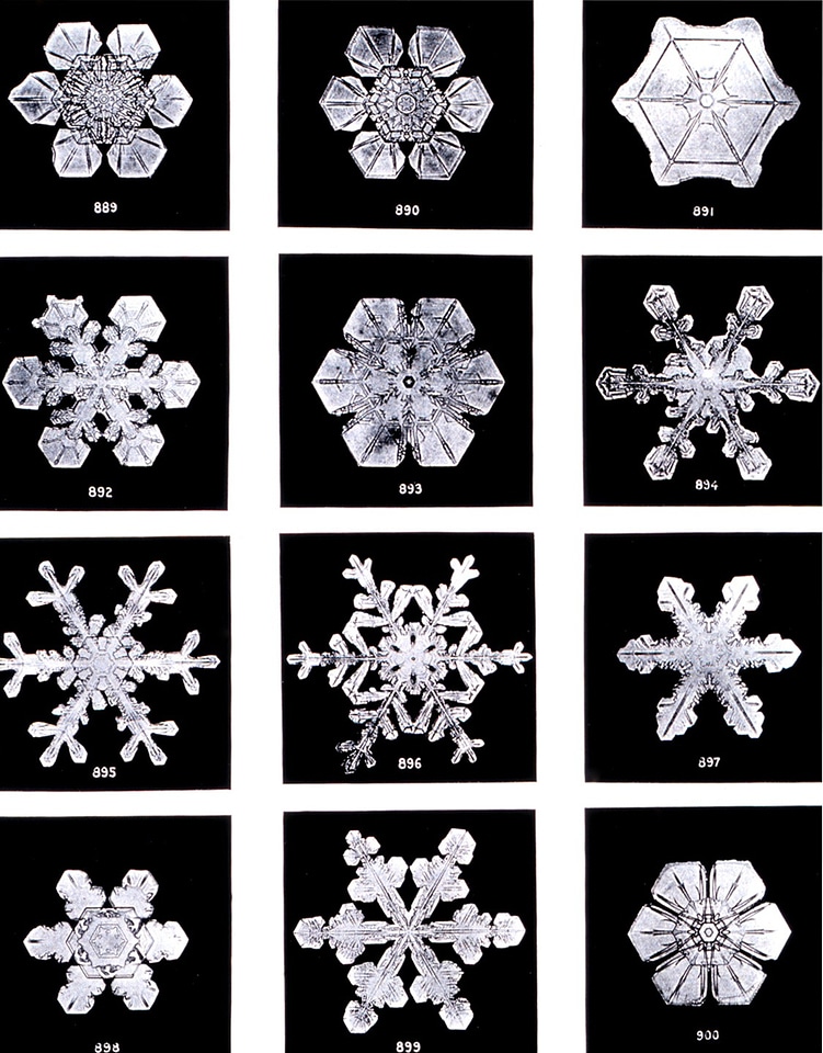 Ice snow crystals water crystals