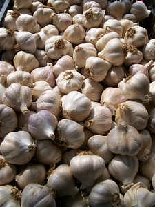 Agriculture food ingredient